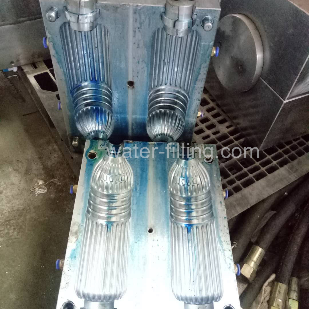 beauty 2 cavity blow mold of the water bottle making machine